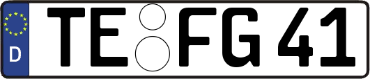 TE-FG41