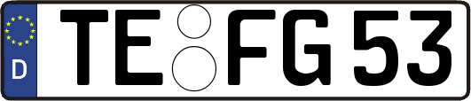TE-FG53
