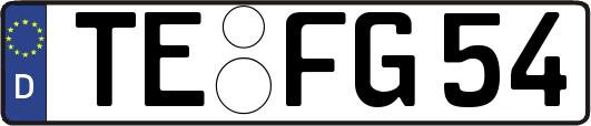 TE-FG54