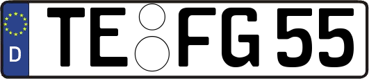 TE-FG55