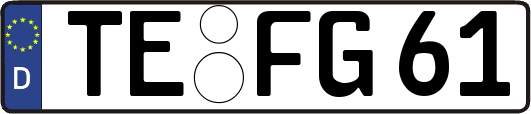 TE-FG61