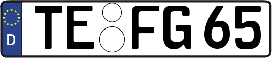 TE-FG65