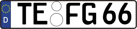 TE-FG66
