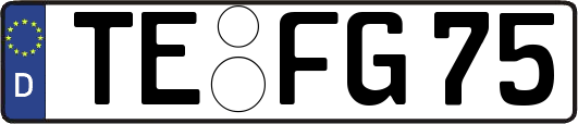 TE-FG75