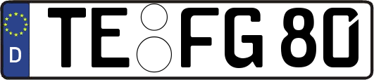 TE-FG80