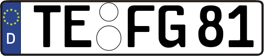 TE-FG81