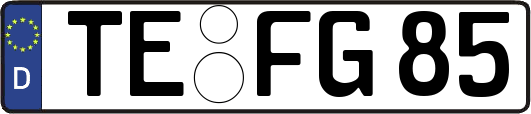 TE-FG85