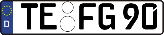 TE-FG90