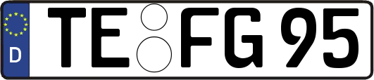 TE-FG95