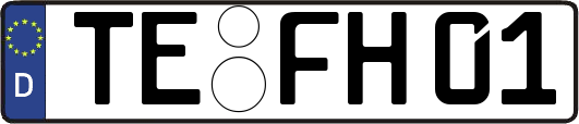 TE-FH01