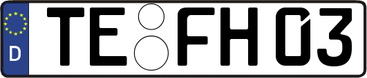 TE-FH03