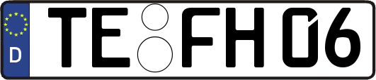 TE-FH06