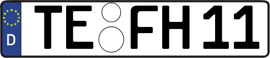 TE-FH11