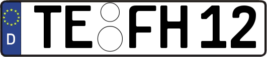 TE-FH12
