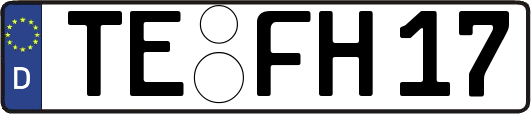 TE-FH17