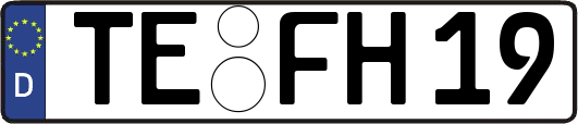TE-FH19