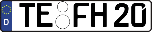 TE-FH20