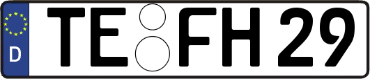 TE-FH29