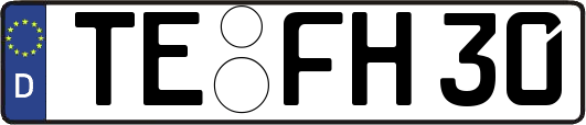 TE-FH30