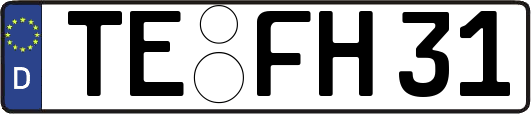 TE-FH31