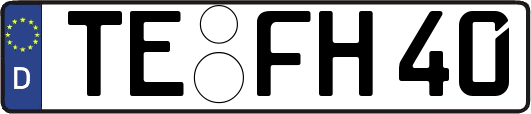 TE-FH40