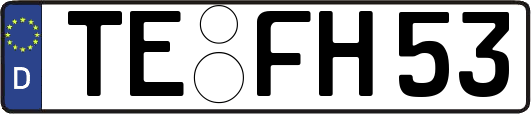 TE-FH53