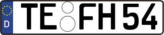 TE-FH54