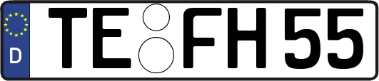 TE-FH55