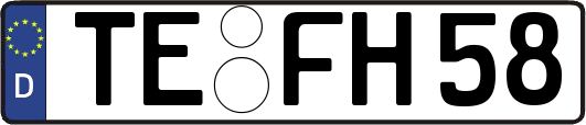 TE-FH58