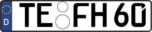 TE-FH60