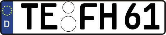 TE-FH61