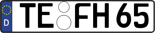 TE-FH65