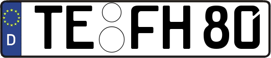 TE-FH80