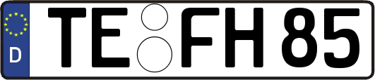 TE-FH85