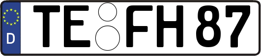 TE-FH87
