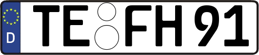 TE-FH91