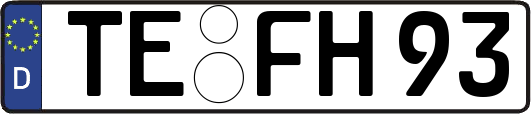 TE-FH93