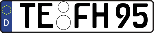 TE-FH95