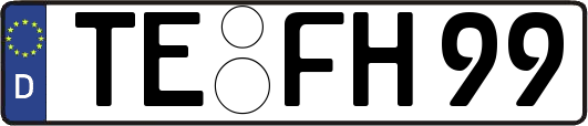 TE-FH99