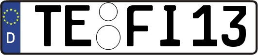 TE-FI13