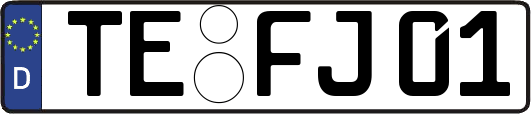 TE-FJ01
