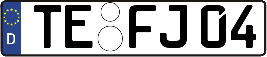 TE-FJ04