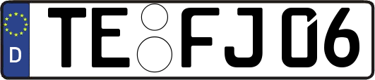 TE-FJ06