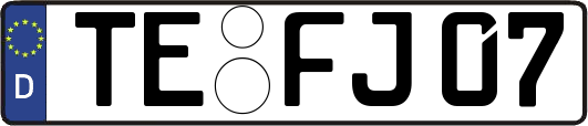 TE-FJ07