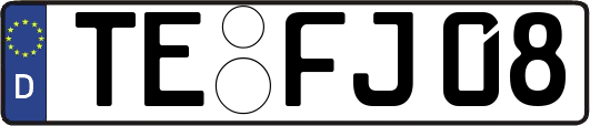 TE-FJ08