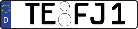 TE-FJ1