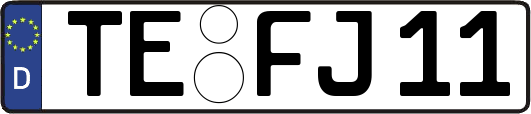 TE-FJ11