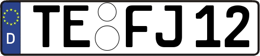 TE-FJ12
