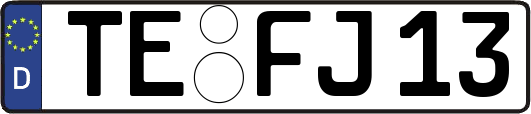 TE-FJ13
