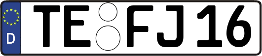TE-FJ16
